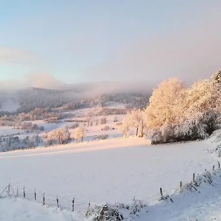 호텔 De La Belette 2*