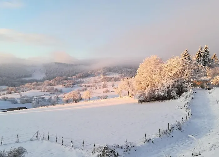 Hotel De La Belette 2*